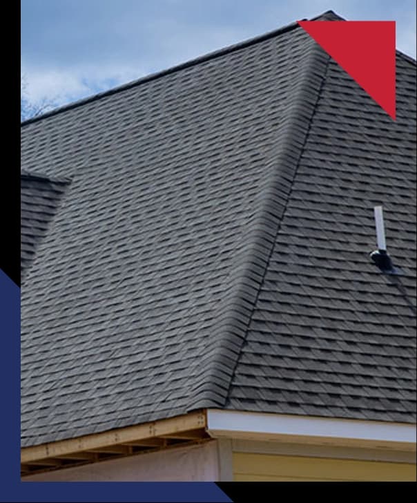 Professional roofing services